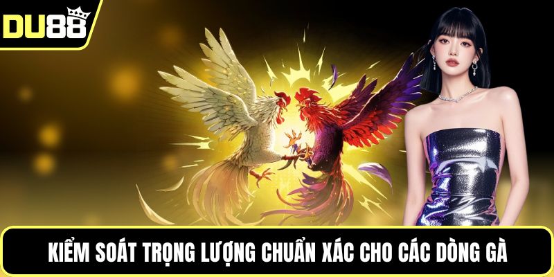 Kiểm soát trọng lượng chuẩn xác cho các dòng gà
